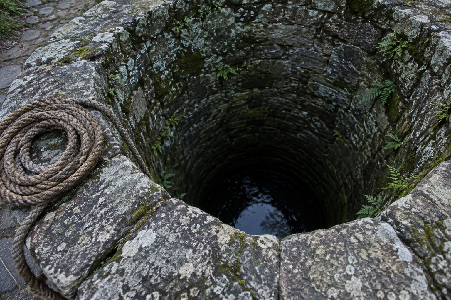 Looking down into a deep stone well shaft with dark water at the bottom and a coiled rope on the mossy rim