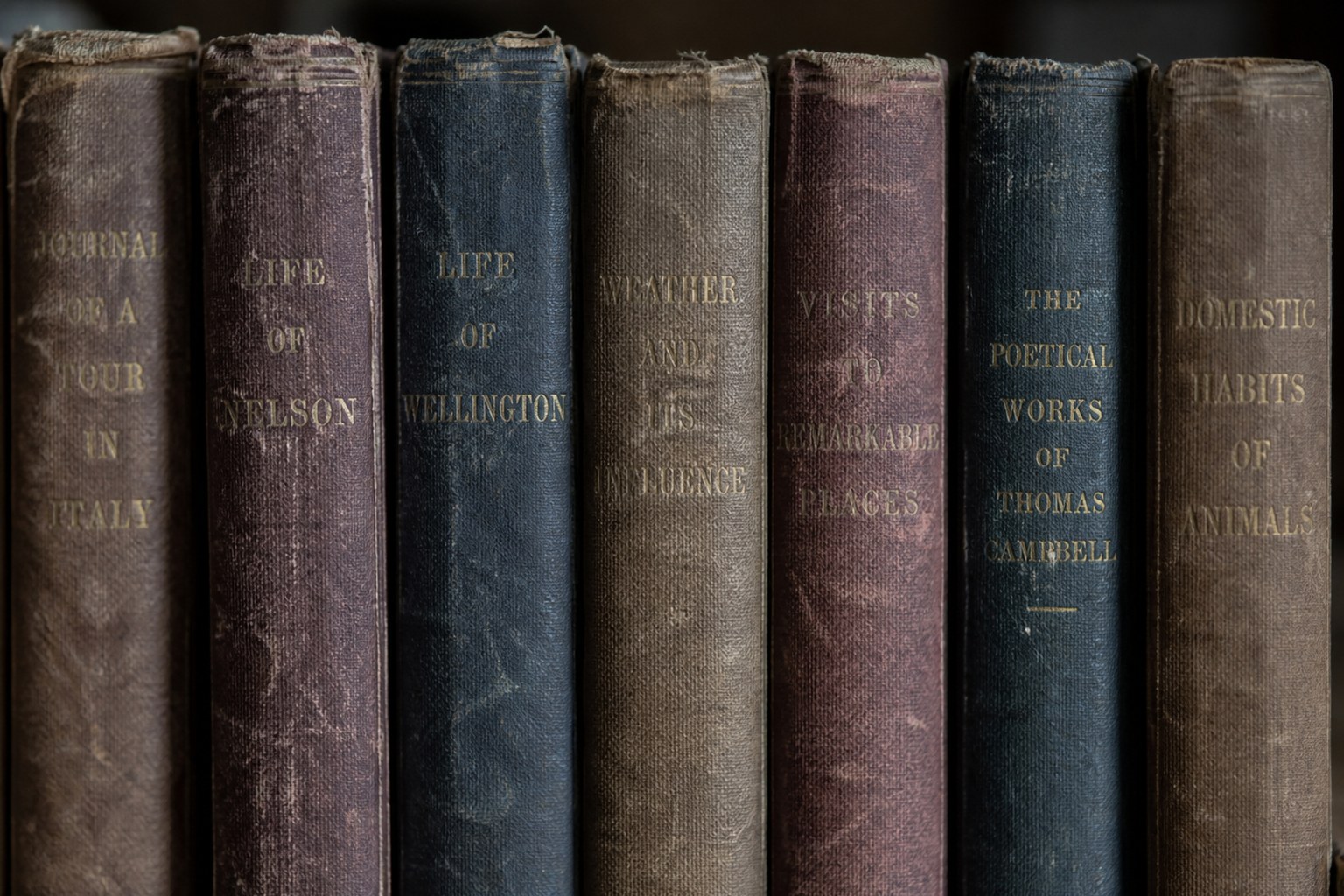 Names Ending in -El