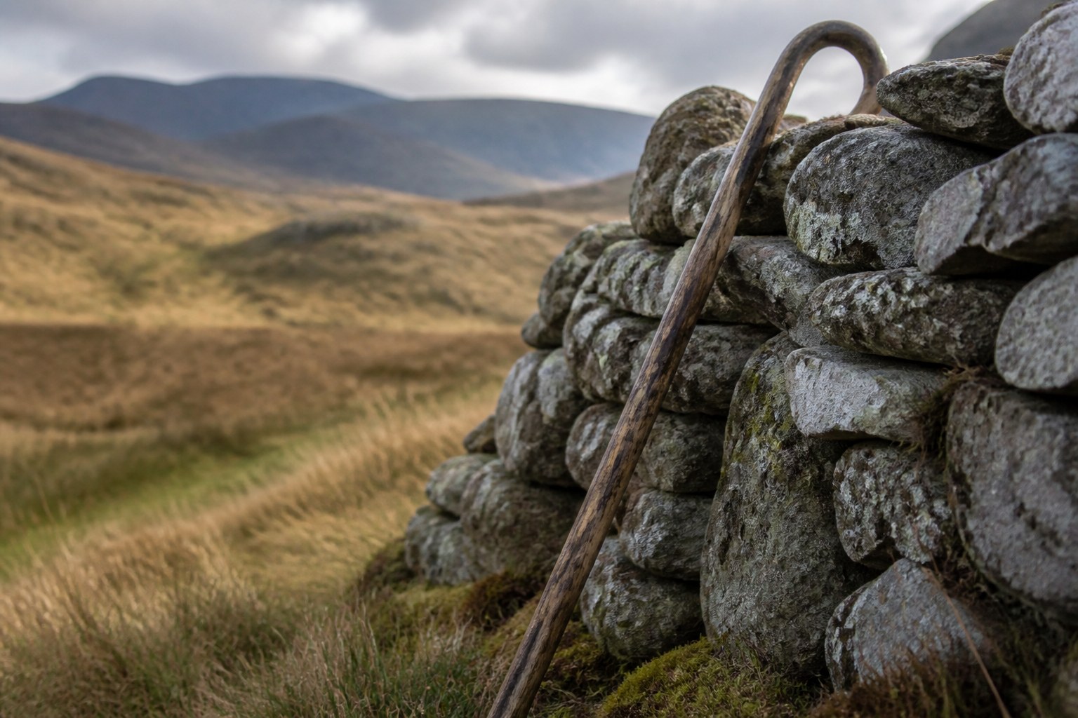 A worn wooden shepherd's crook leaning against a drystone wall in open hill country