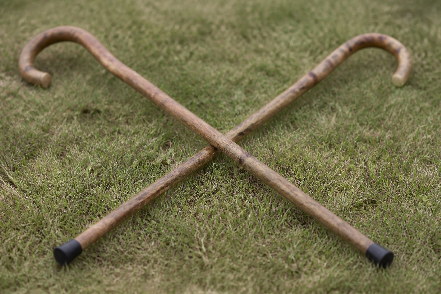 Two identical crook handled walking sticks crossed on cropped summer grass