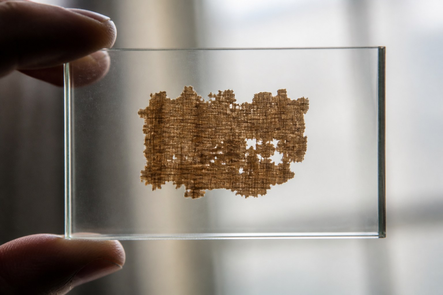 A small papyrus fragment mounted between two plates of glass and held up to soft light