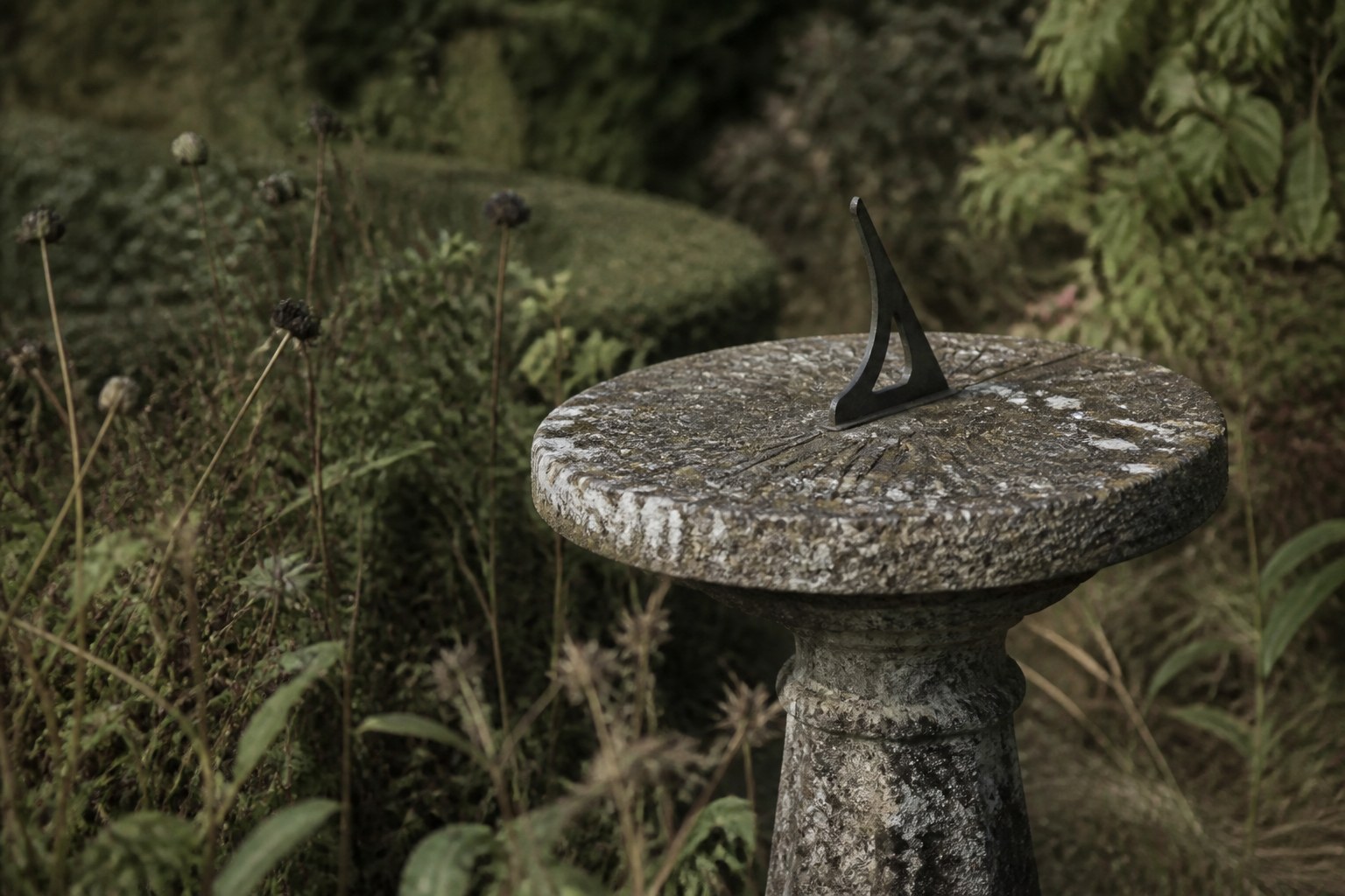 A weathered stone sundial standing alone in an overgrown garden