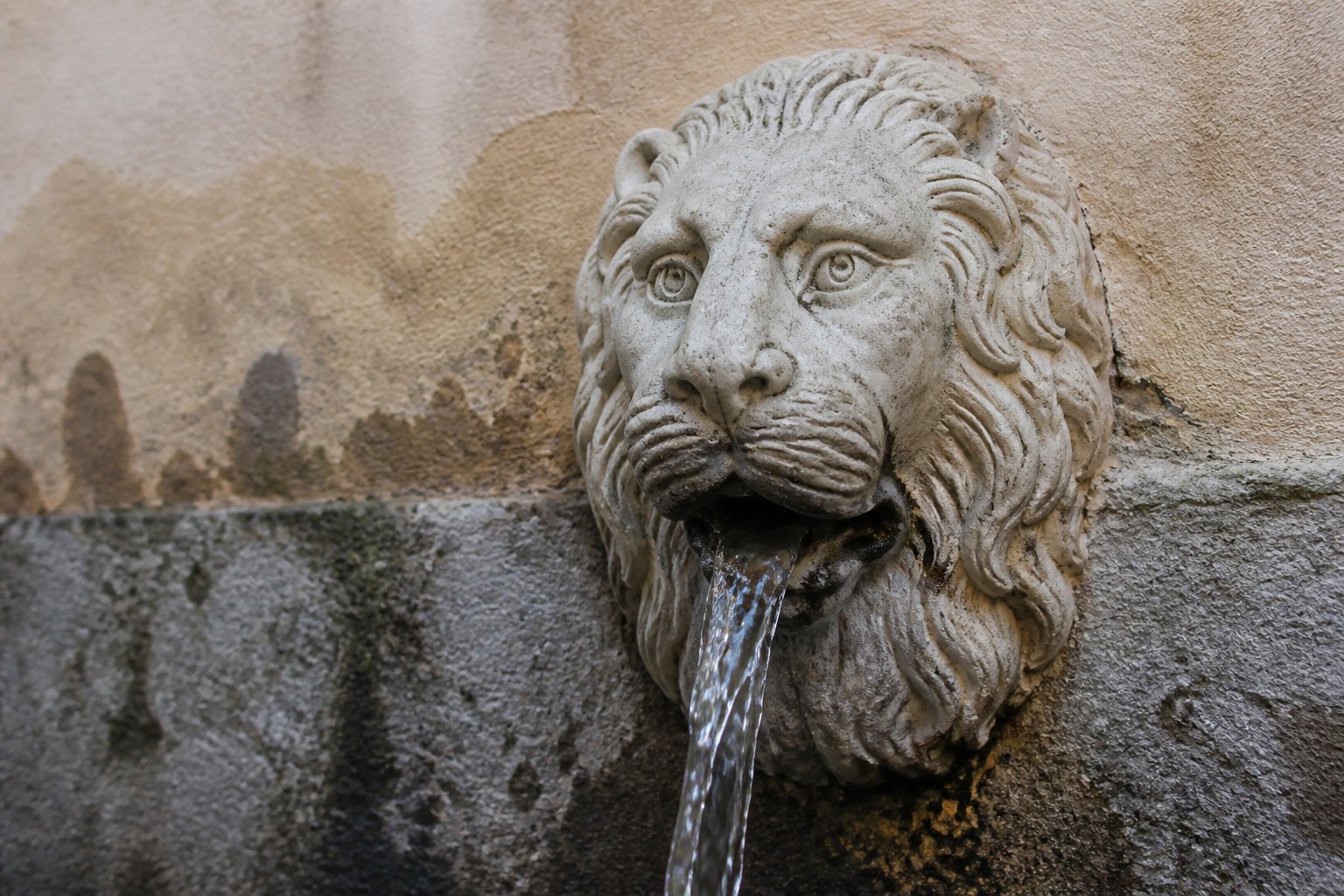 A carved stone lion's head fountain spout with water running from it