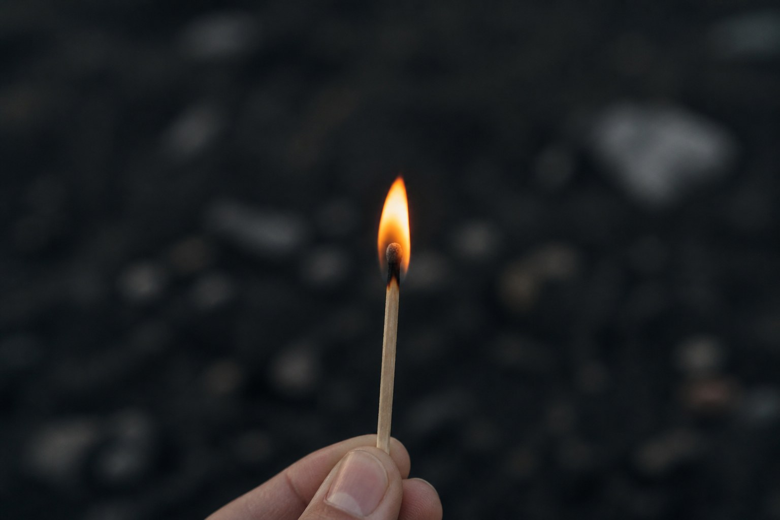 A single struck match held upright with the flame just caught, dark ground behind