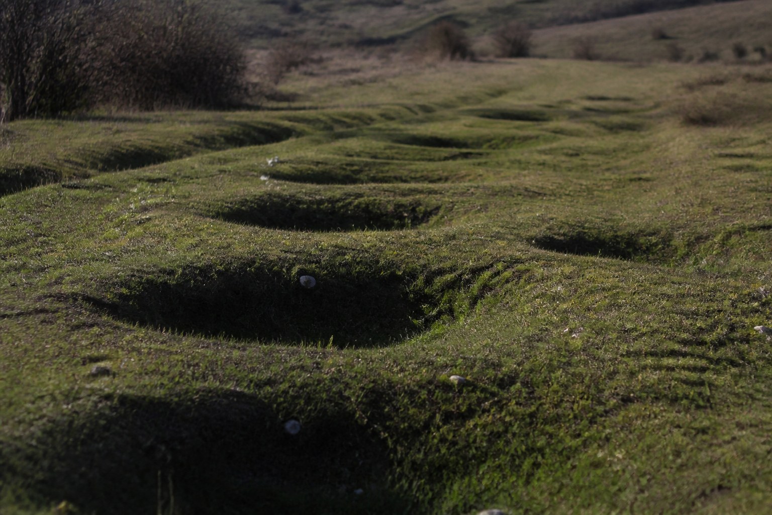 A row of shallow grass-covered hollows in chalk downland under low sun