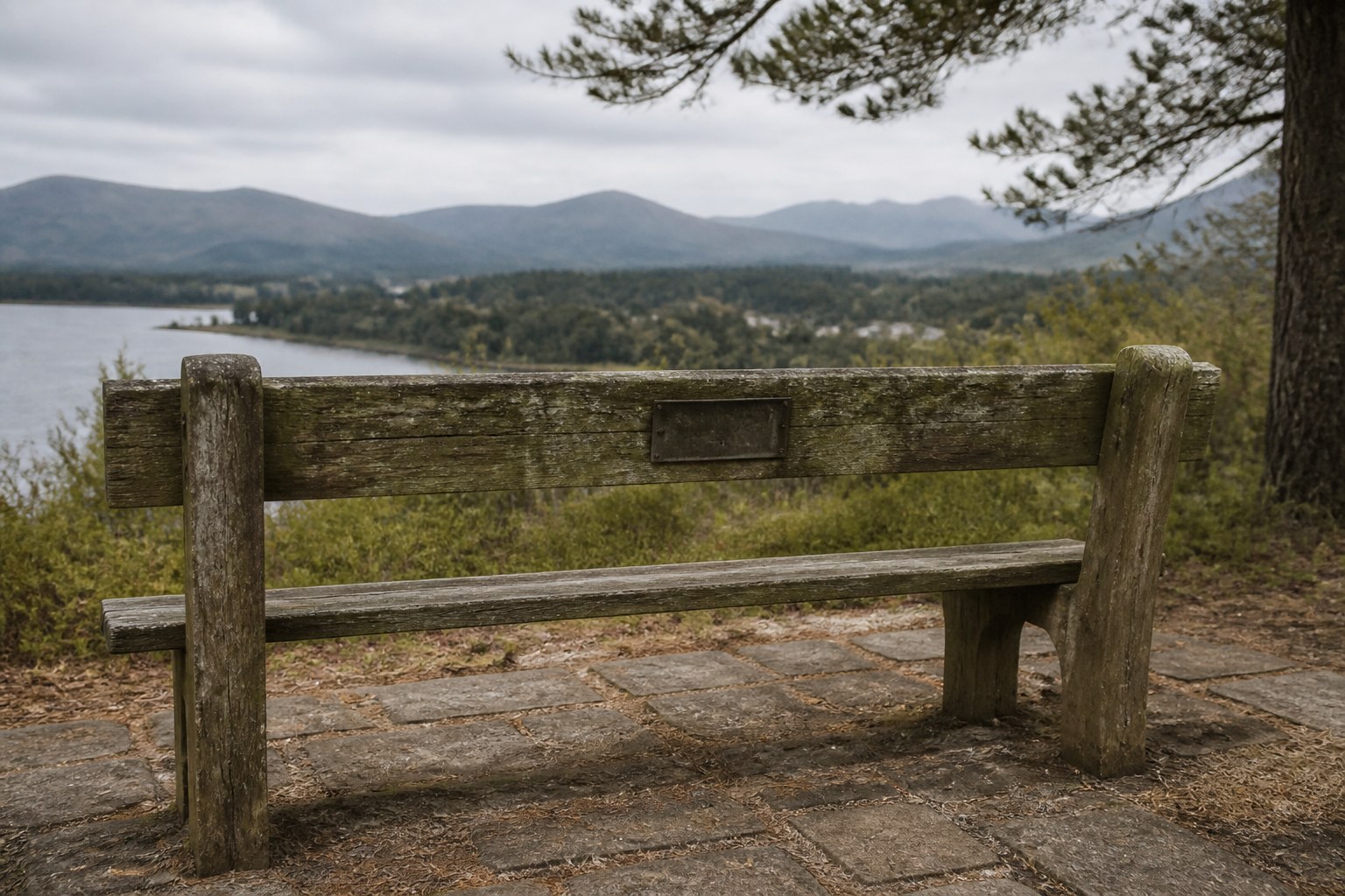 A weathered memorial bench facing a view, the plaque on its back rail worn illegible