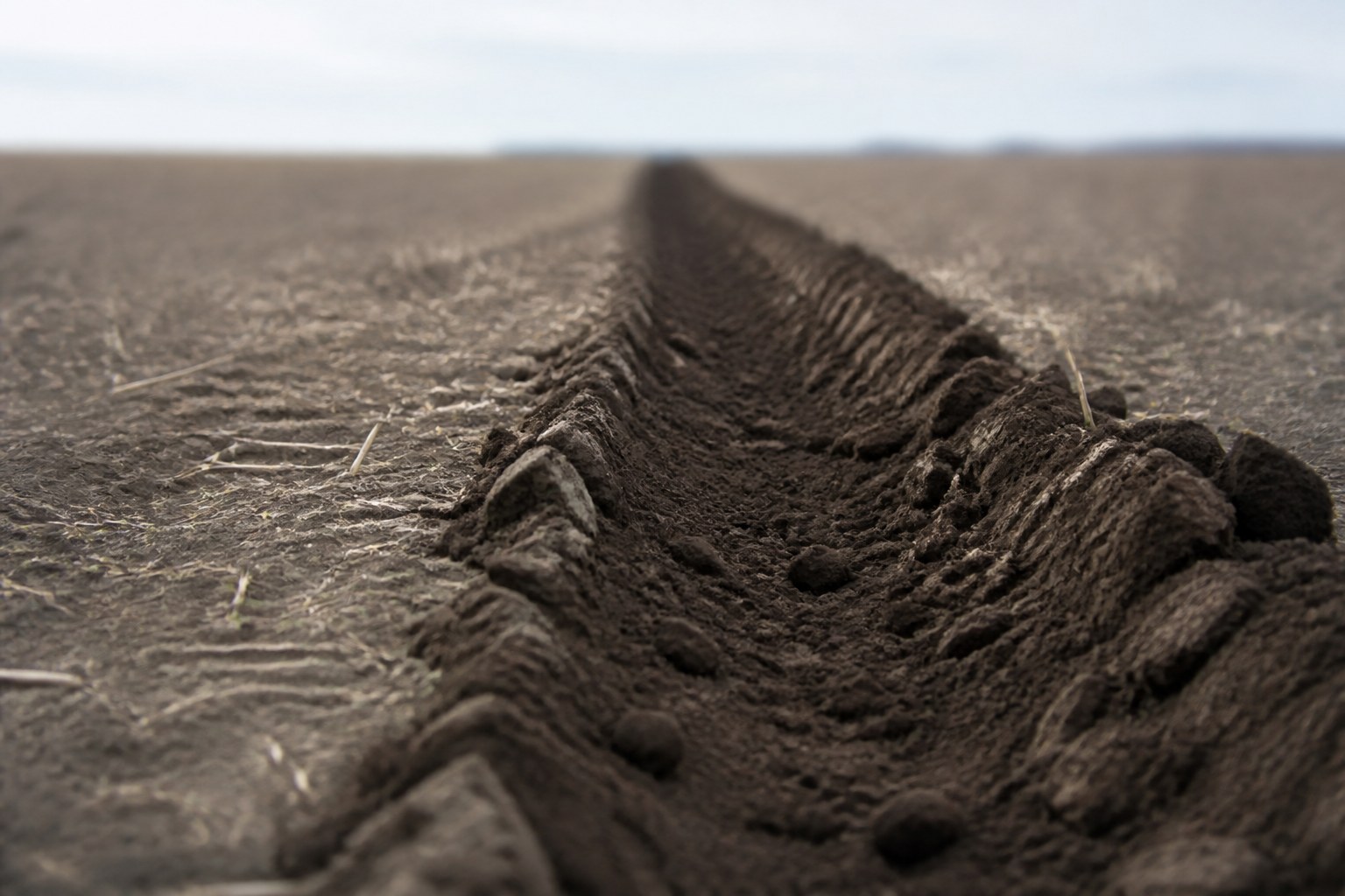 A single furrow opened across bare soil by a plough, the field otherwise untouched