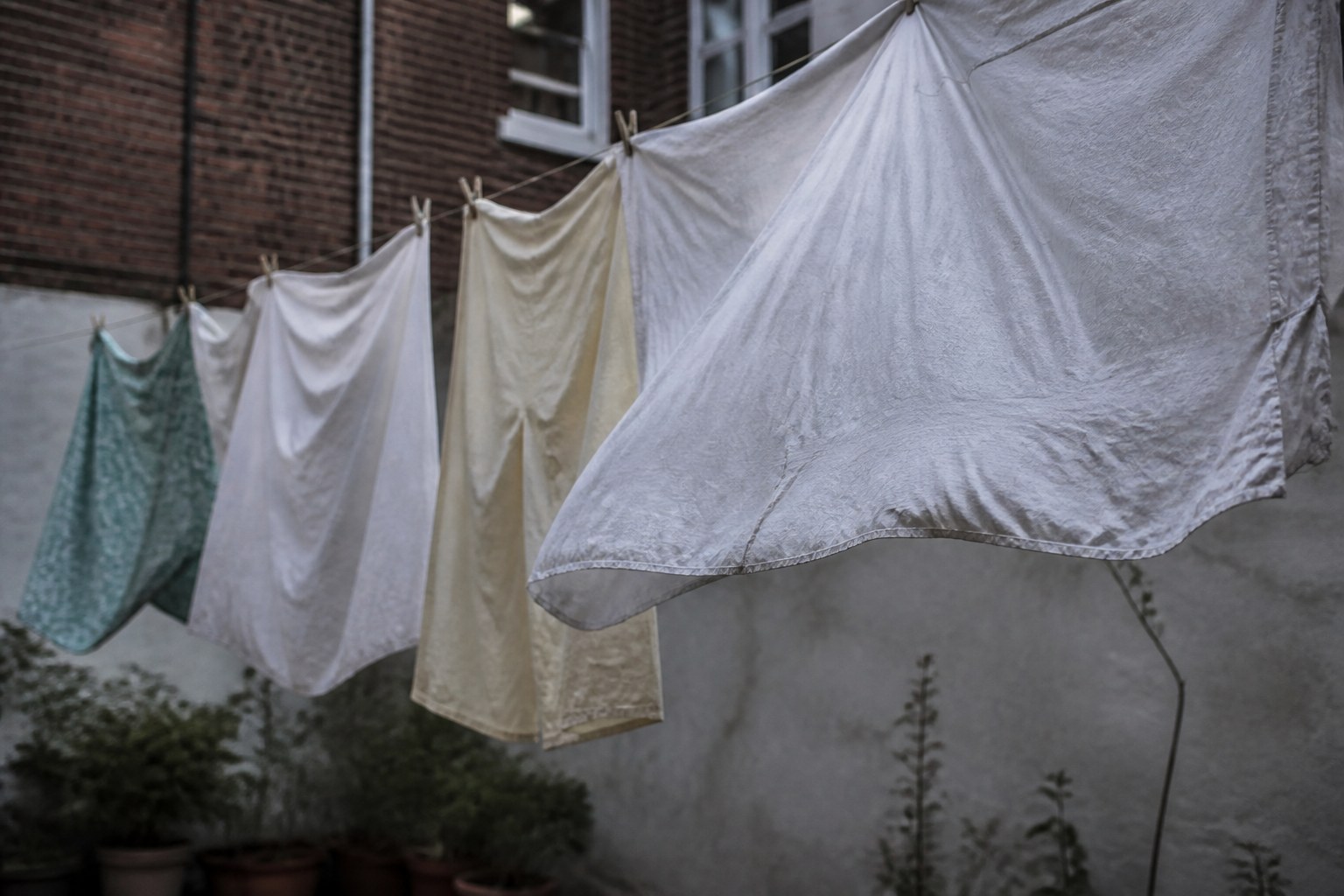 A washing line strung across a small back yard with sheets moving in the wind