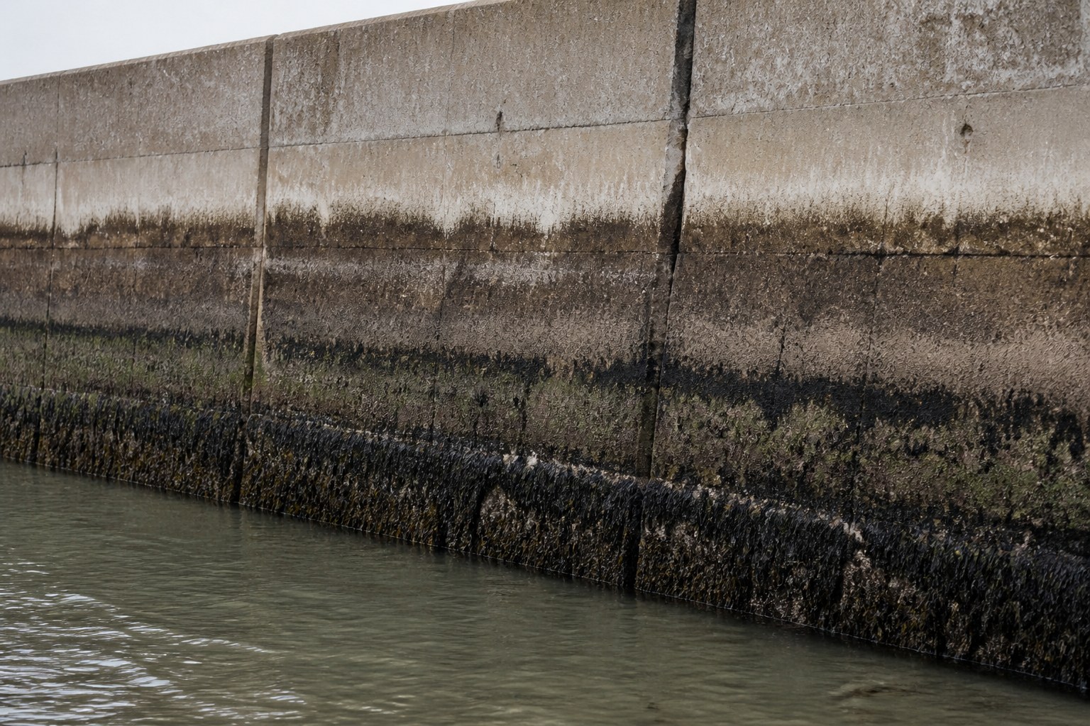 A harbour wall showing a fresh tide mark with older lines below it