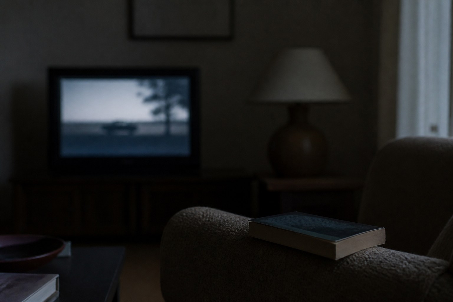 A dim living room with a paused film on a small television, a lamp lit in the corner, and a paperback lying face down on the arm of a chair