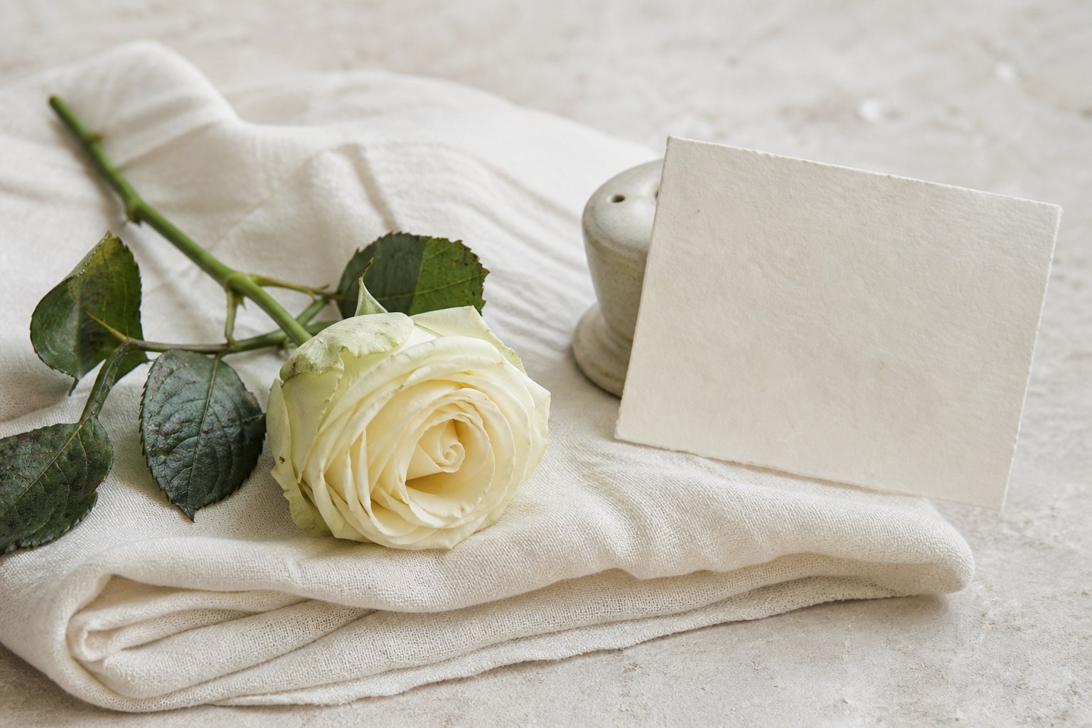 A single white rose on folded pale cloth beside a blank iconography reference card