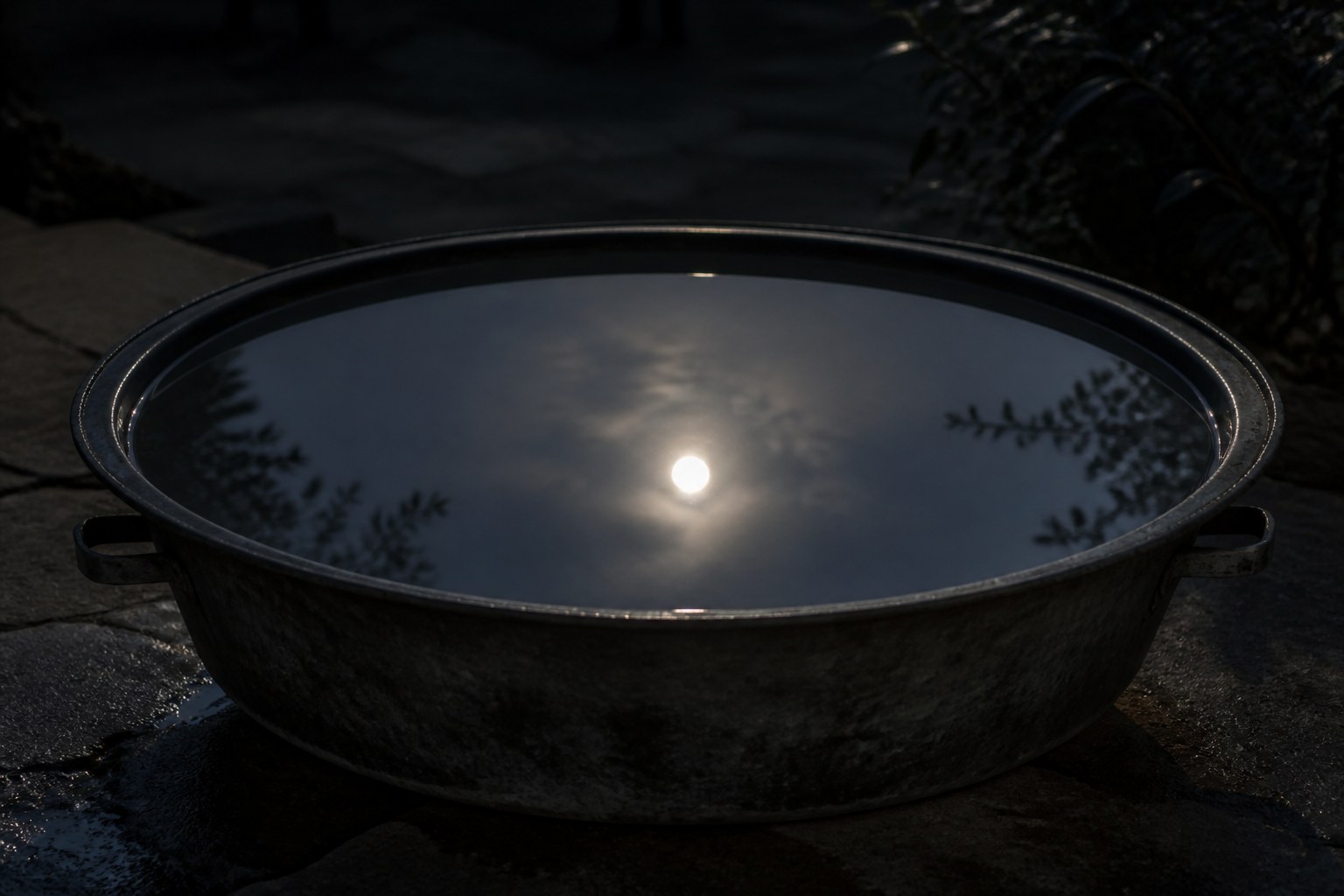 Moonlight and bare branches reflected in still water held in a wide metal basin standing outdoors at night