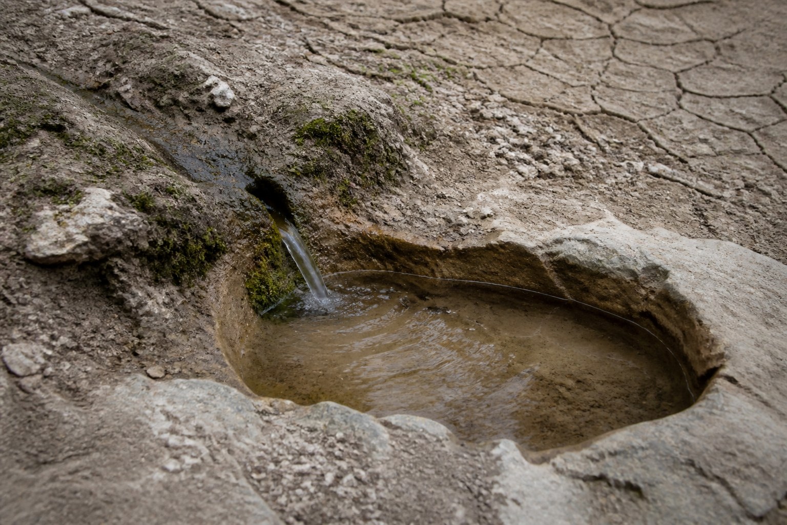 A spring seeping into a shallow stone basin in dry cracked ground
