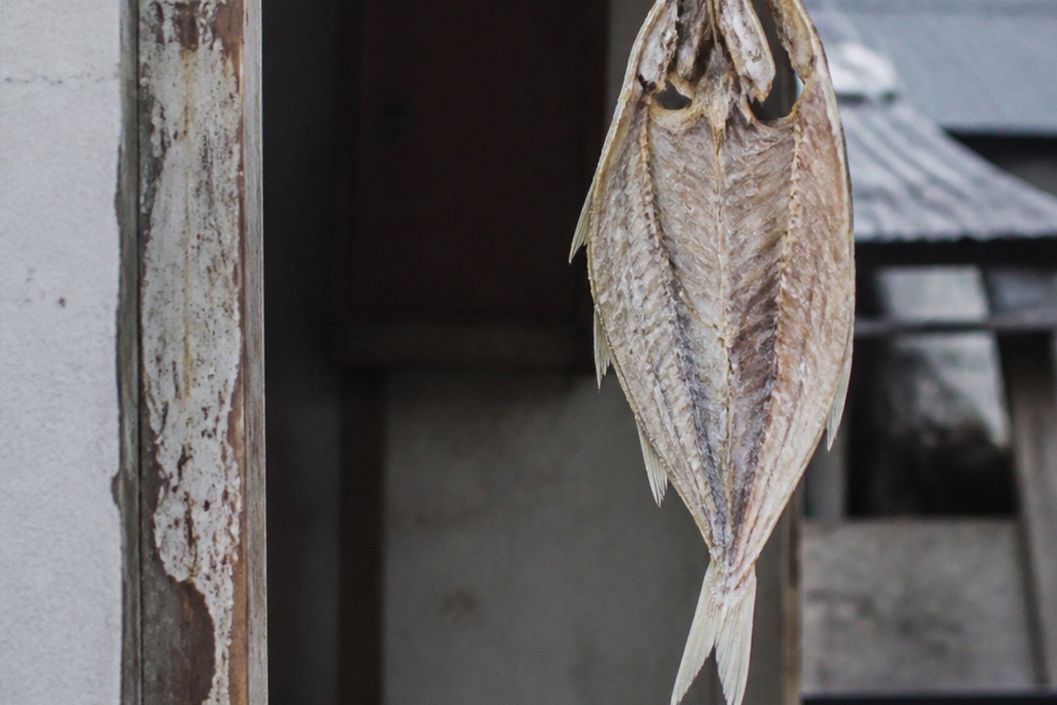 A dried fish hanging on a line in a doorway with daylight behind it