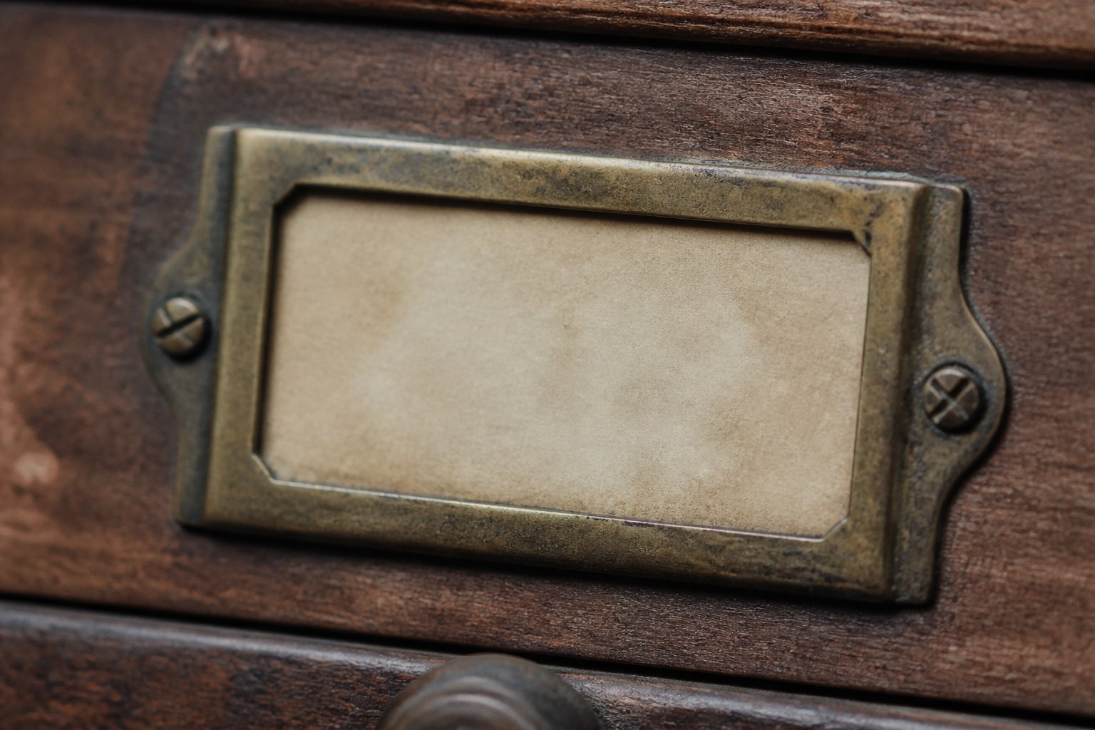 A brass label holder mounted on an old wooden drawer front, holding a yellowed card that has faded completely blank