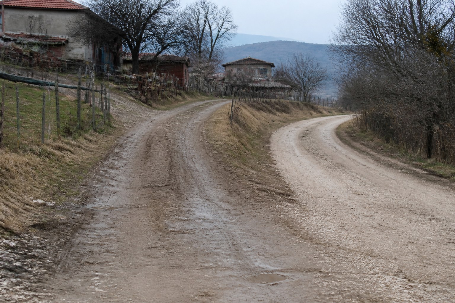 A road forking away from a village, one track more worn than the other