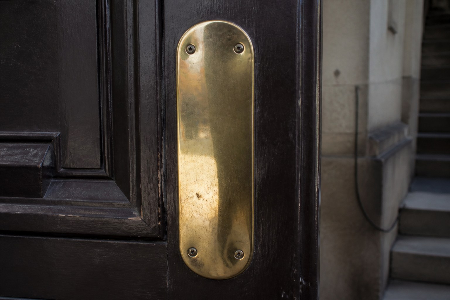 A polished brass finger plate on a heavy panelled door with fixing screws visible