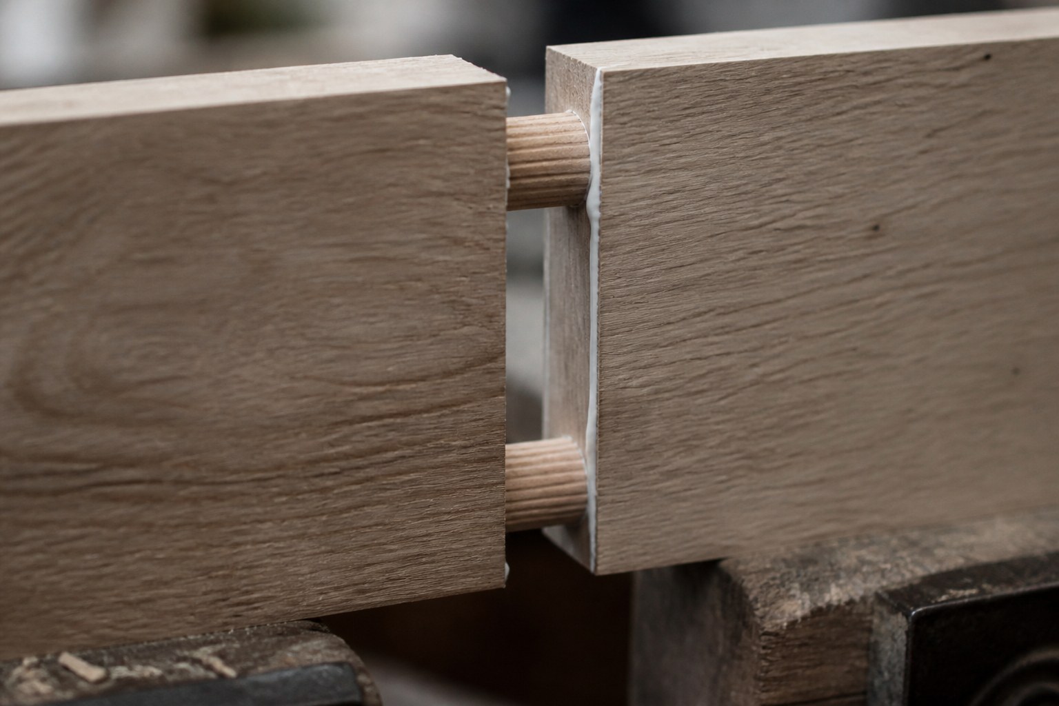 Two boards drawn together on wooden dowels, glue showing along the line