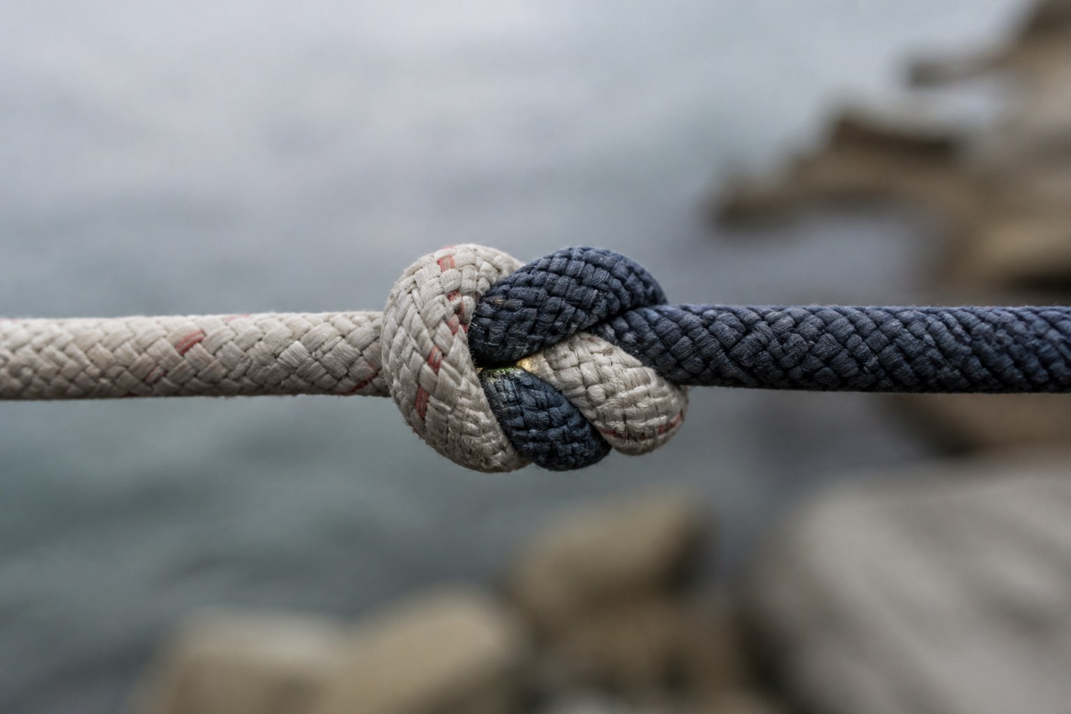A reef knot pulled tight between two lengths of cord