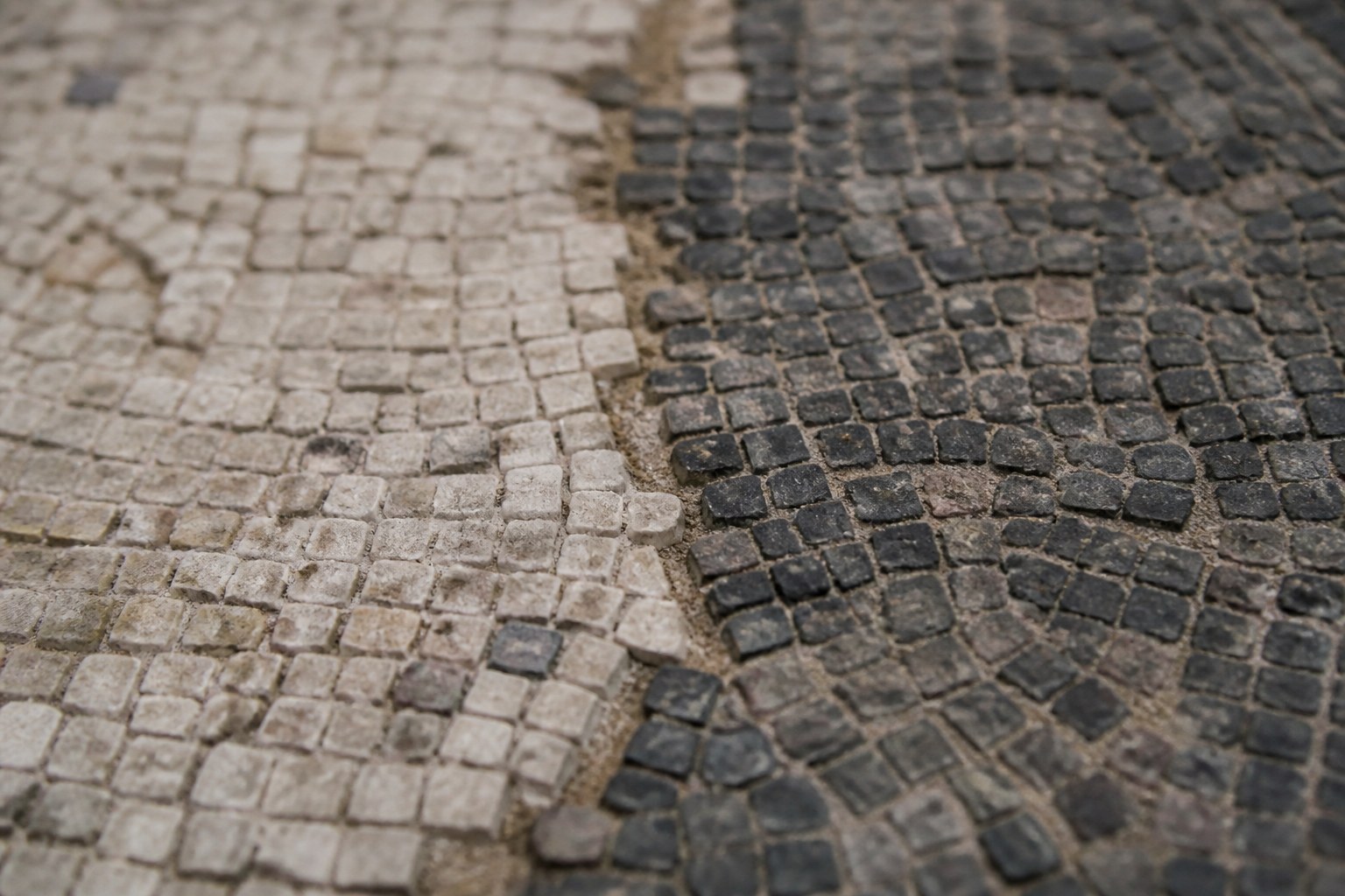 Two fields of mosaic tesserae meeting along an irregular line