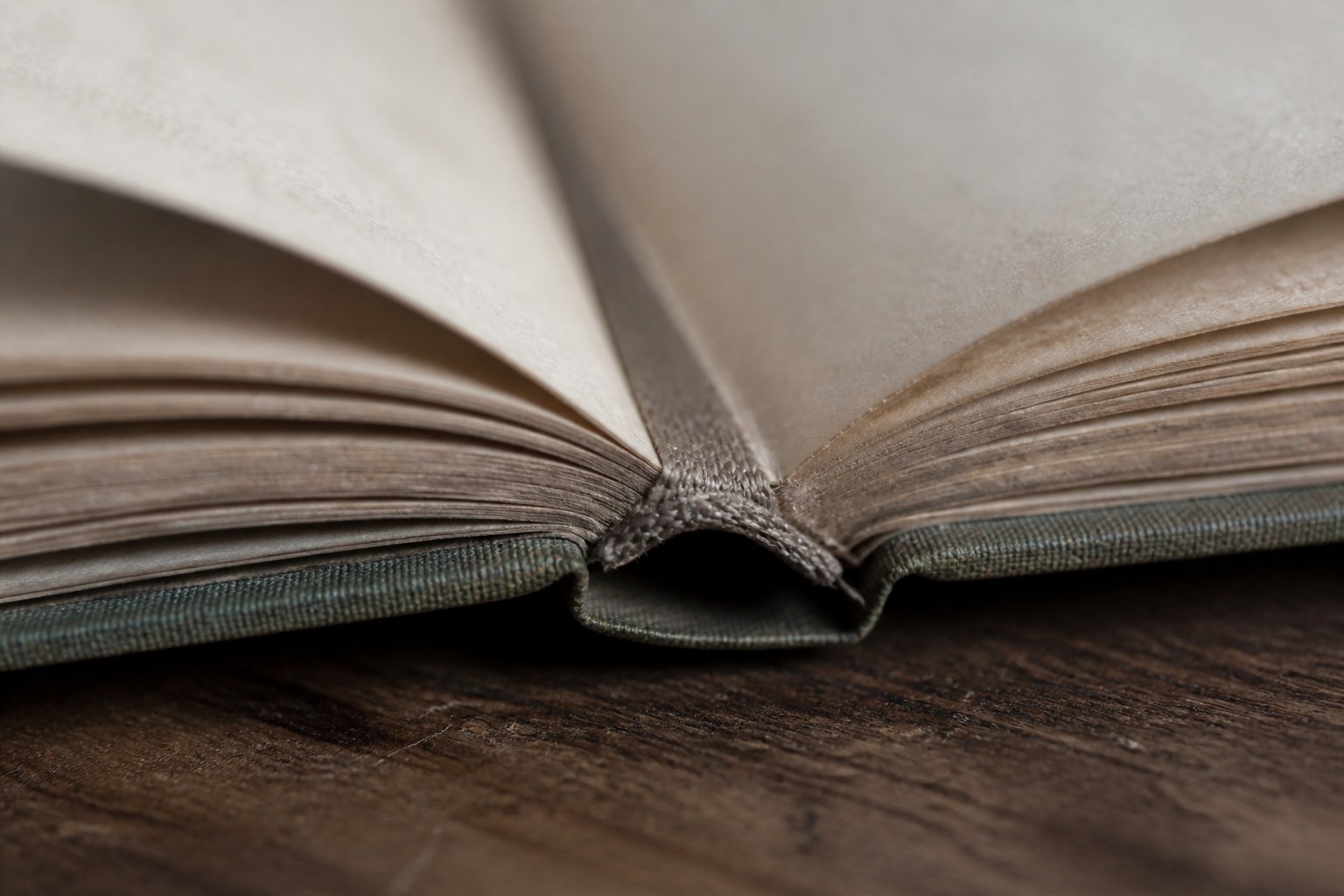 The cloth hinge of a bound book opening at the spine